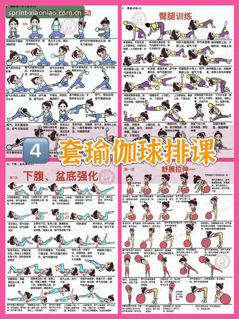 小鸟体育使用指南：从入门到精通的完整攻略